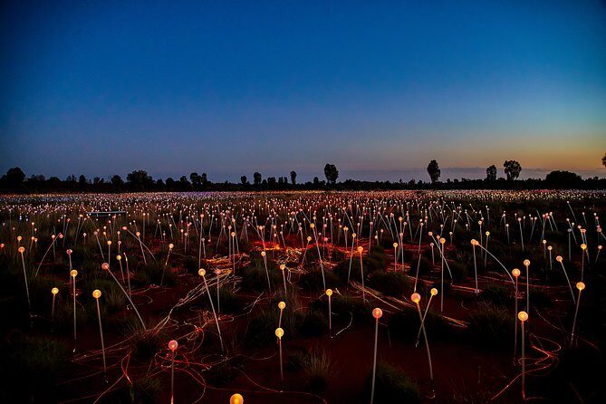 Uluru (Ayers Rock) Field of Light Sunrise Tour - How it Compares to Other Tours