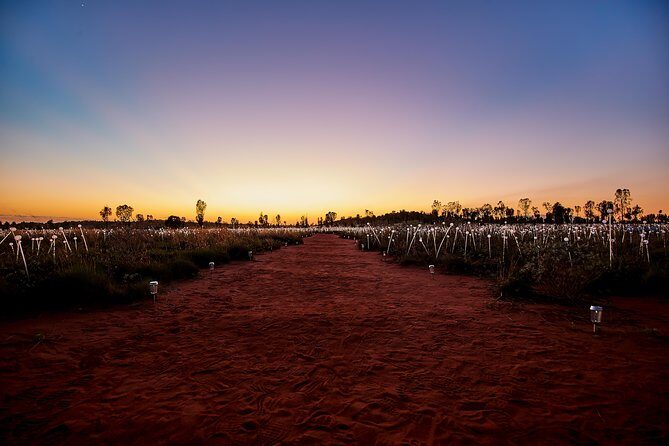 Uluru (Ayers Rock) Field of Light Sunrise Tour - FAQs
