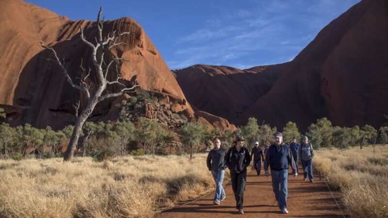 Uluru Highlights Small Group Morning Tour + Picnic Breakfast - FAQ
