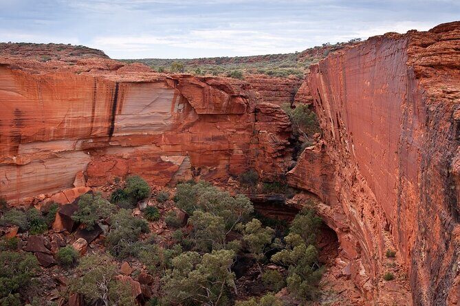 Uluru, Kata Tjuta and Kings Canyon Camping Safari from Ayers Rock - An In-Depth Look at the Itinerary