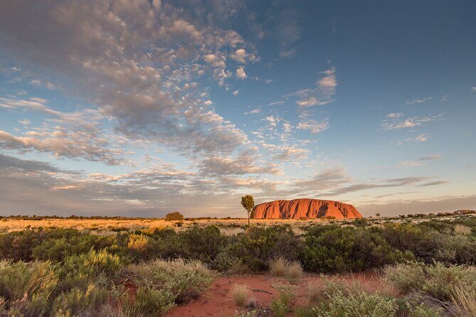 Uluru, Kata Tjuta and Kings Canyon Camping Safari from Ayers Rock - Final Thoughts