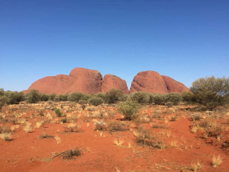 Uluru, Kata Tjuta & Kings Canyon Safari Camping Tour - Final Thoughts