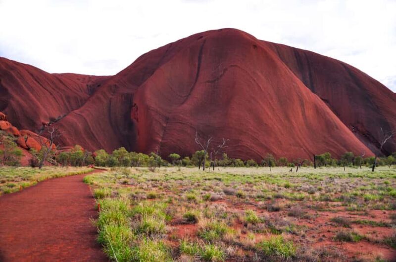 Uluru: Sacred Sites & Sunset Tour with Wine & Cheeseboard - Key Points