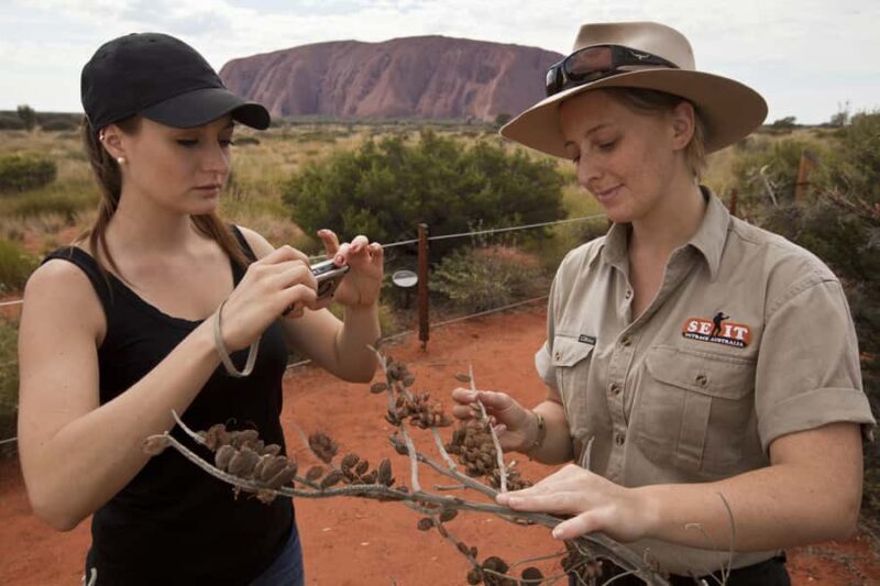 Uluru: Small Group Guided Tour with Sunset Refreshments - What to Expect on the Tour