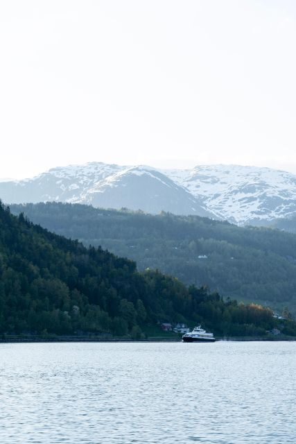 Ulvik adventure: Exploring Hardangerfjord's Osafjord by RIB - Final Thoughts