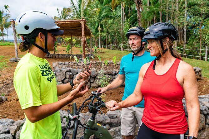 Umauma Falls eBike Tour in Hakalau - What to Expect from the Umauma Falls eBike Tour