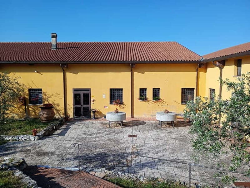 Umbria: guided tour to traditional oil mill + tasting - Key Points