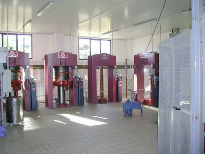 Umbria: guided tour to traditional oil mill + tasting - Who Will Enjoy This Experience?