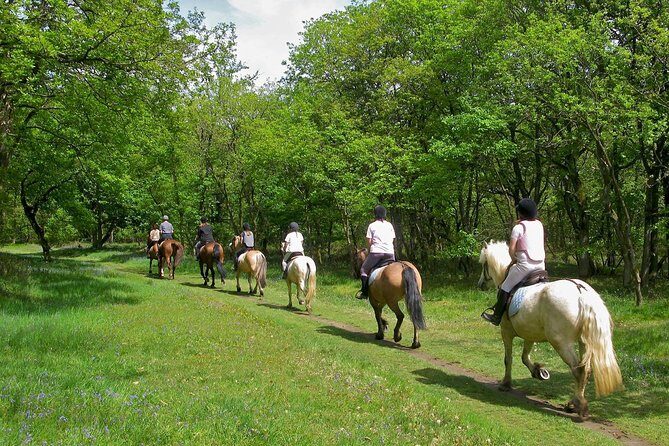 Umbria, Horseback riding in the Umbrian countryside with lunch - Who Should Consider This Tour?