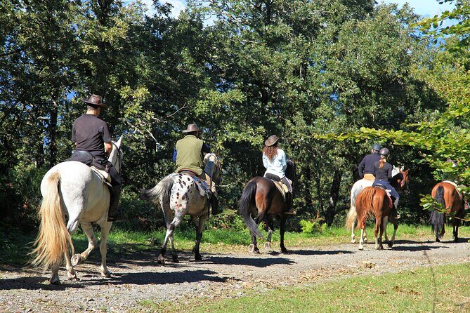 Umbria, Horseback riding in the Umbrian countryside with lunch - FAQs