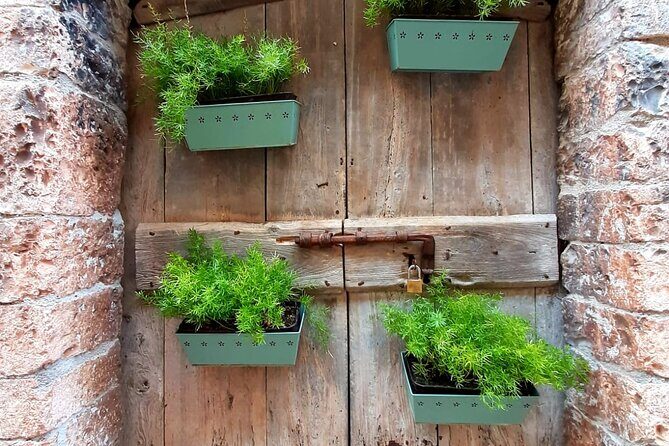 Umbria off the beaten track. Rasiglia, Trevi, Bevagna and Collepino - Who Should Book This Tour?