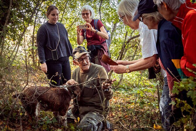 Umbria Truffle Hunting Experience with Brunch - Practical Considerations