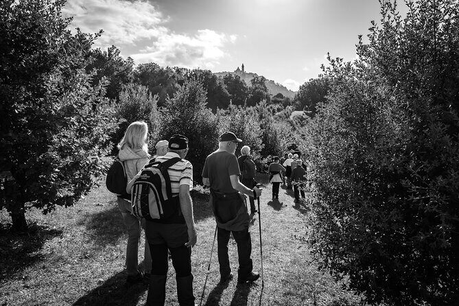 Umbria Truffle Hunting Experience with Brunch - The Sum Up