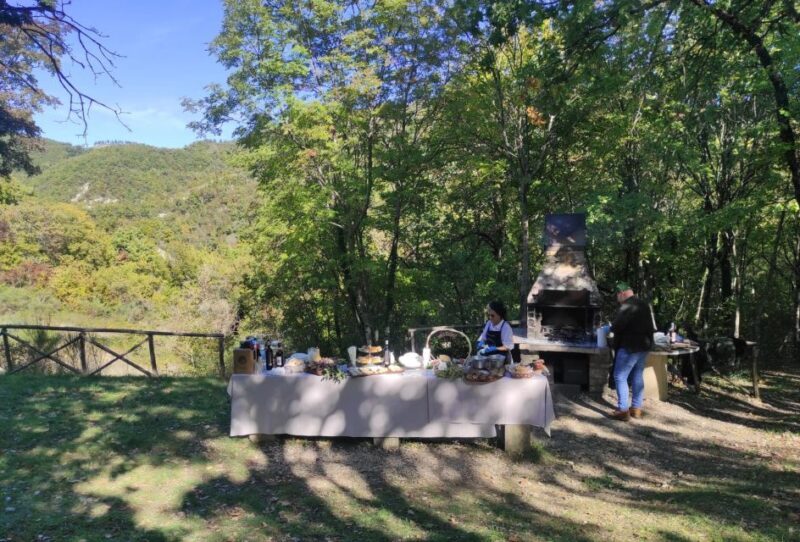 Umbria: Truffle hunting in the woods with lunch - Who’s This Tour For?