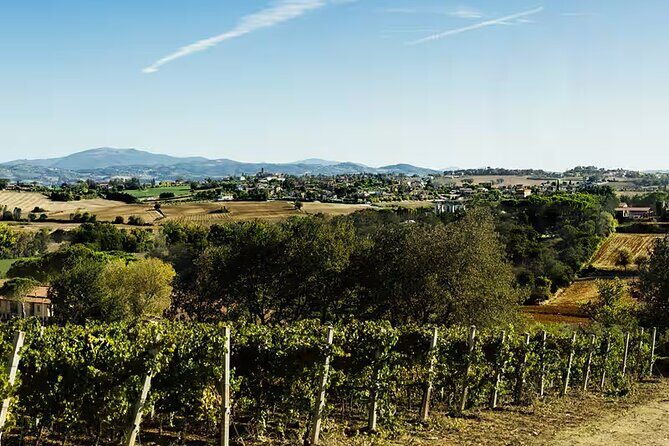 Umbria: Wine Tasting Tour with Regional Pairings near Perugia - What to Expect from the Umbria Wine Tasting Tour