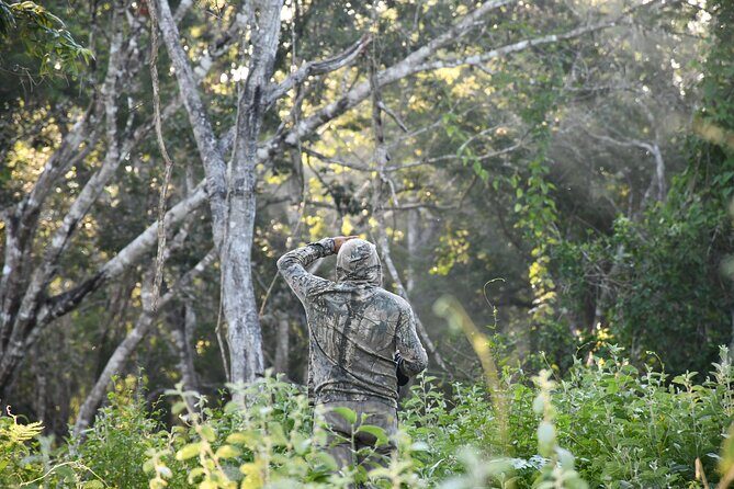 Uncharted Mayan Ruins - Practical Details & Tips