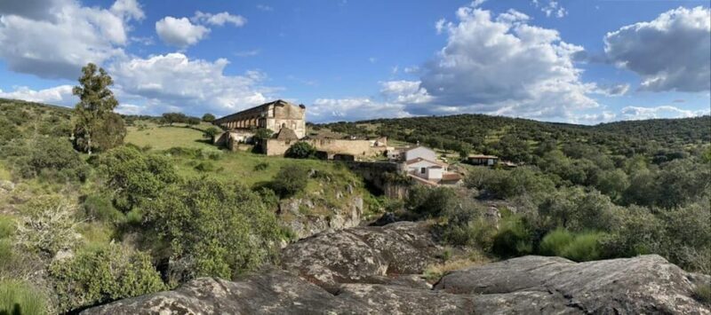 Under the Stars: Night Immersion with Sky Interpretation - A Detailed Look at the Experience