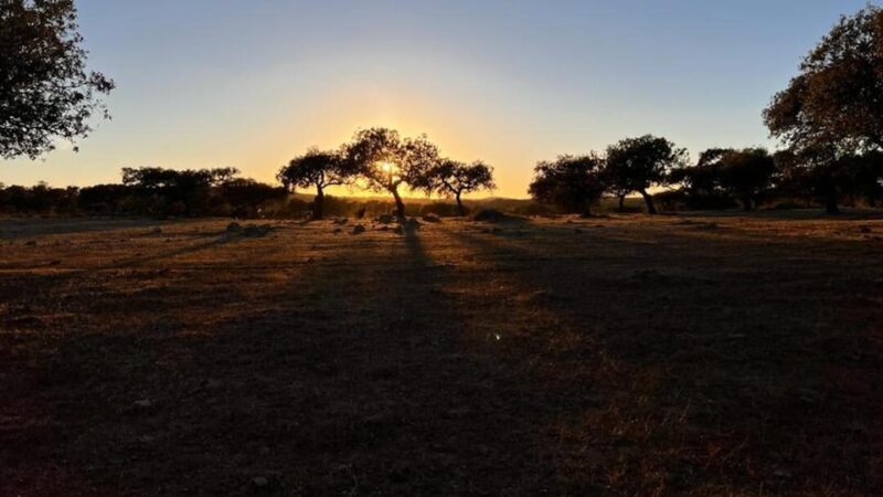 Under the Stars: Night Immersion with Sky Interpretation - Final Thoughts