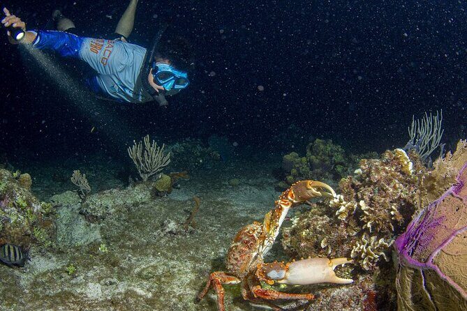 Under the Stars Twilight Snorkel and Seaside Dinner at Money Bar - FAQ