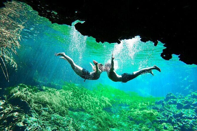 Underground Cenotes Snorkeling Tour with Mayan Snack - An In-Depth Look at the Underground Cenotes Snorkeling Tour