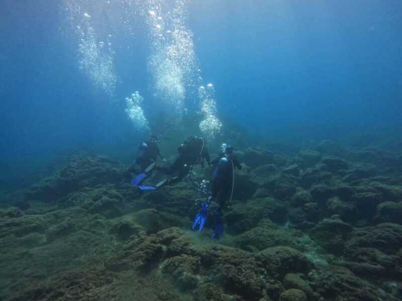 Underwater Archaeological Tour: Acicastello (CT) - The Realistic Outlook: Pros and Cons