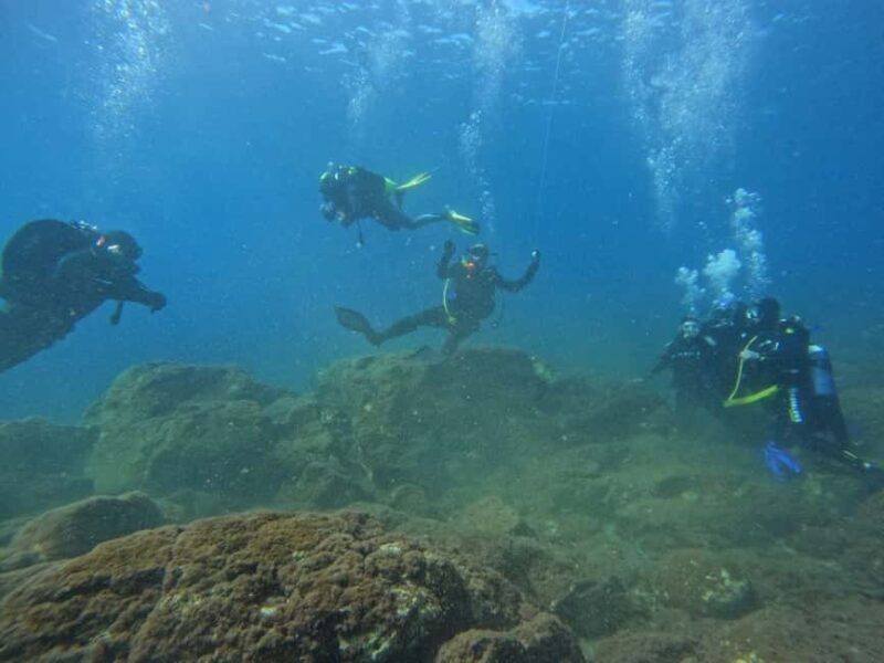 Underwater Archaeological Tour: Acicastello (CT) - Who Is This Tour Perfect For?