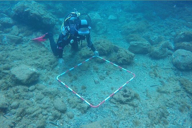 Underwater Archaeology Course - What the Experience Looks Like