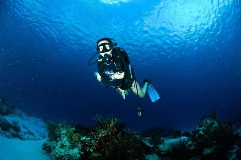Underwater Museum Musa : SCUBA DIVING FOR BEGINNERS - What Travelers Say