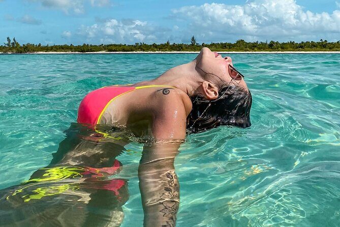 Underwater Snorkel Experience day in Cozumel with Transportation from Cancún - Key Points