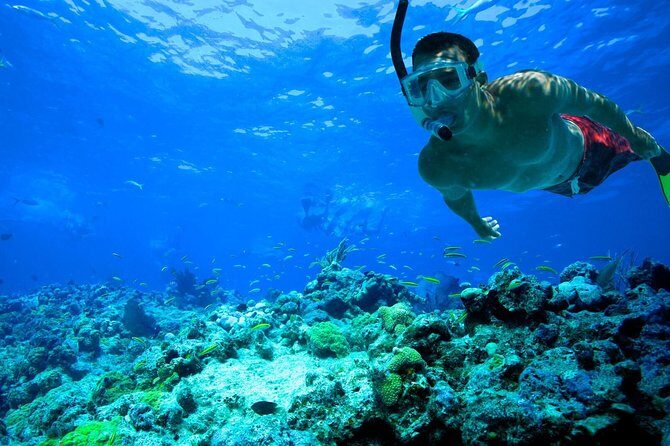 Underwater Snorkel Experience day in Cozumel with Transportation from Cancún - Who Is This Tour Best Suited For?