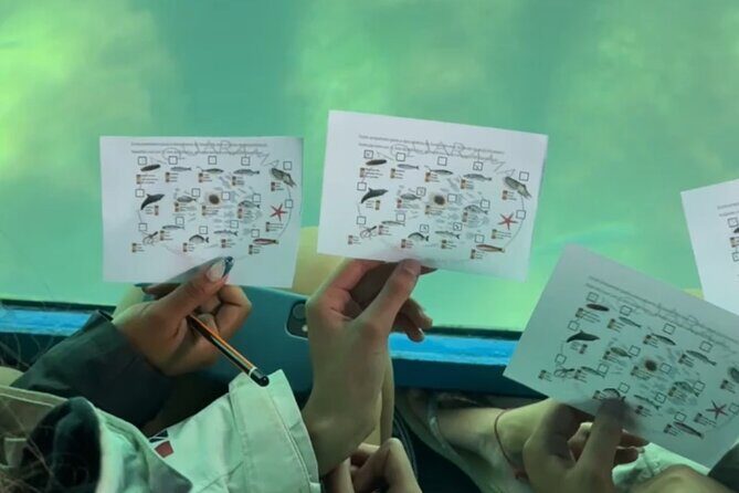 Underwater viewing tours along the coast of Sesimbra - FAQs About the Underwater Viewing Tour