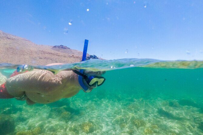 Underwater Wonders Snorkeling Adventure - The Bottom Line: Who Will Love This Tour?