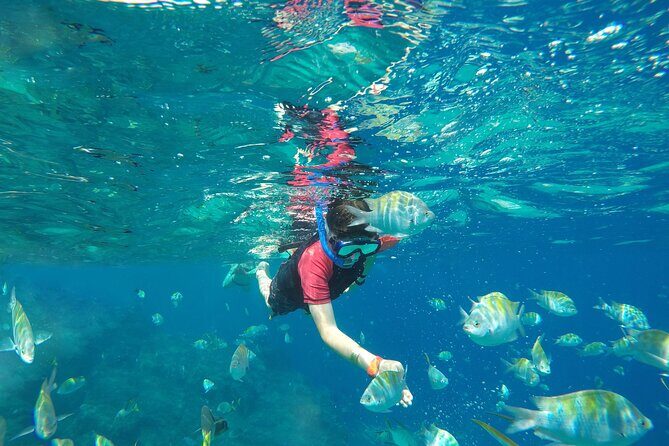 Underwater Wonders Snorkeling Adventure - Final Thoughts