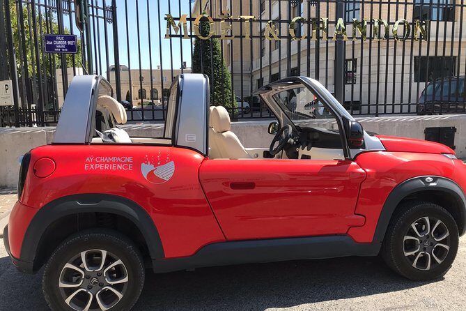 Unesco Champagne Experience from Reims (Private full day tour) - Who Is This Tour Best For?