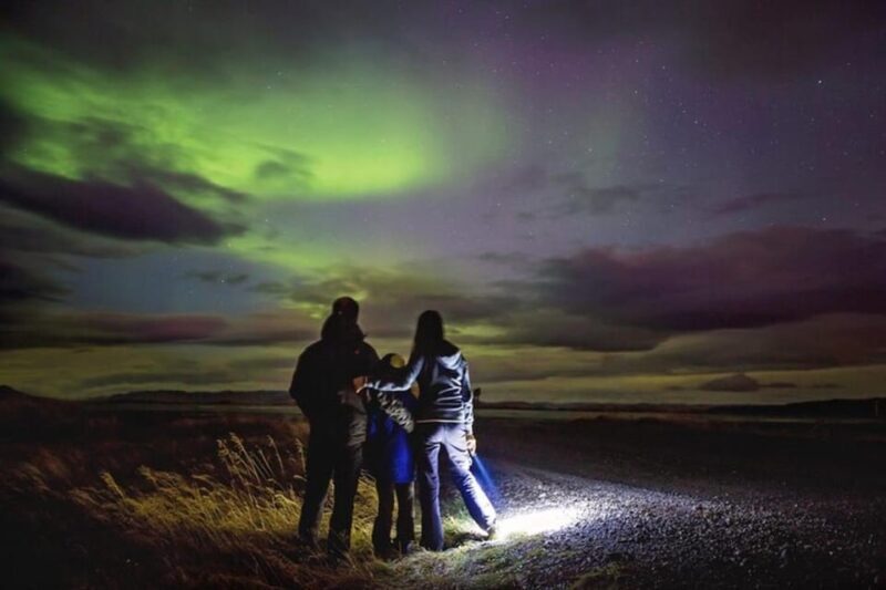 Unforgettable and Fabulous Northern Lights in Reykjavík - Key Points