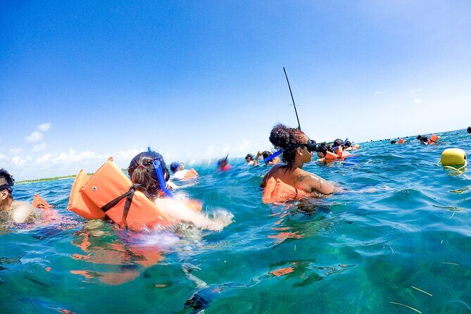 Unforgettable Catamaran Cruise from Cancun to Isla Mujeres - Is This Tour Right for You?