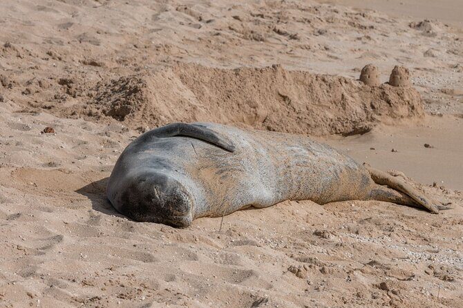 Unforgettable Day on Oahu | Small Group Circle Island Tour - The Sum Up
