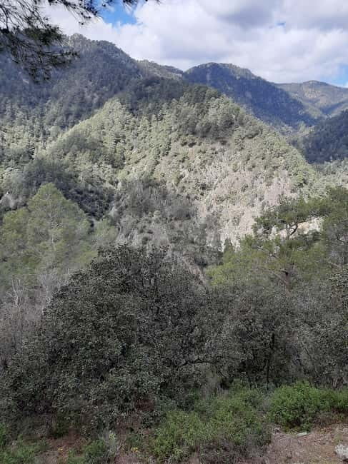 Unforgettable day on safari from Paphos to the Troodos mountains - A Deep Dive into the Troodos Safari Experience