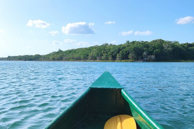 Unforgettable Journey: Coba, Monkey Reserve, and Mayan Cenote - Final Thoughts