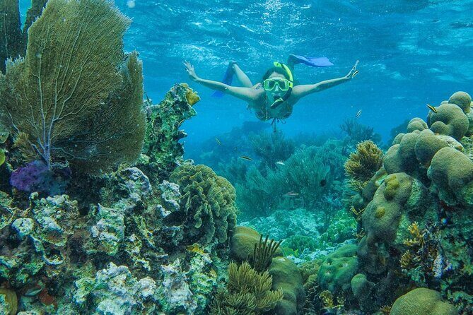 Unforgettable Snorkel Adventure in Cancun whit Transpotations - Wrapping It Up