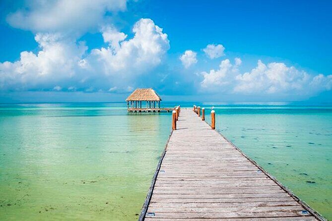 Unforgettable Tour Holbox 2 Islands & Cenote Yalahau from Cancún - Final Thoughts