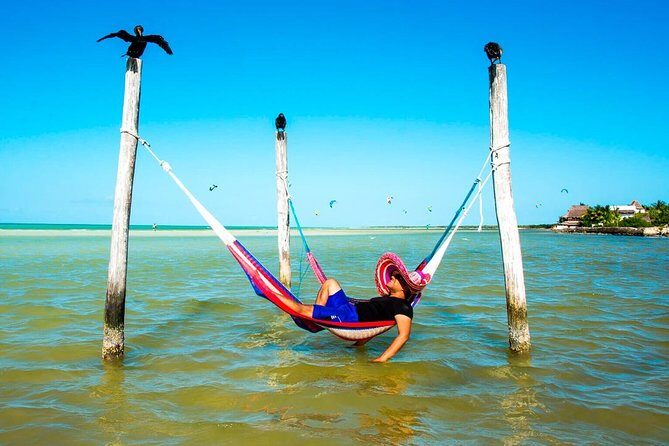 Unforgettable Tour to Magic Island of Holbox from Riviera Maya - A Balanced Look at the Experience