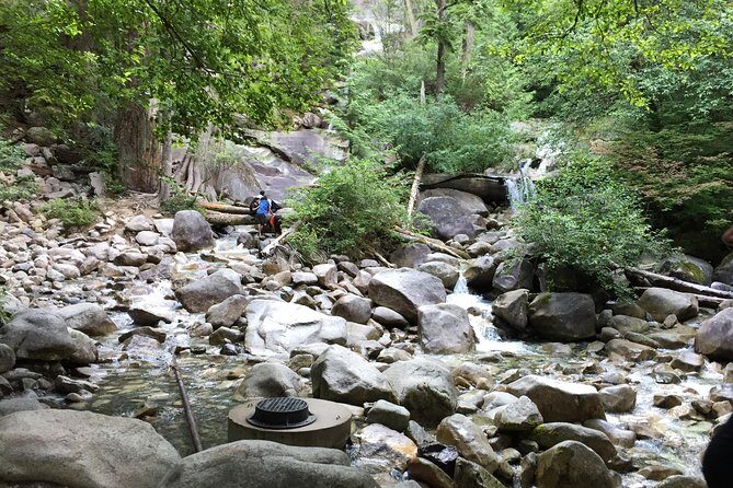 Unforgettable Whistler ( Full Day Private Tour) - FAQs About the Unforgettable Whistler Private Tour