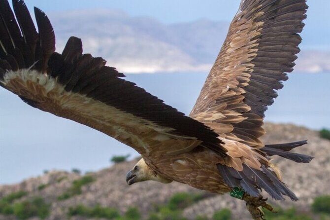 Uninhabited Island Discover Plavnik with a Pirate Ship - Final Thoughts: Is It Worth It?