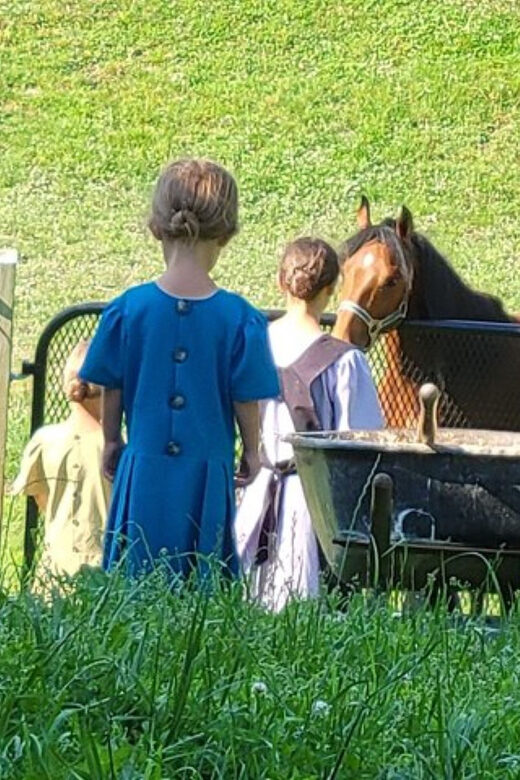 Unique Amish Immersion Experience - Key Points