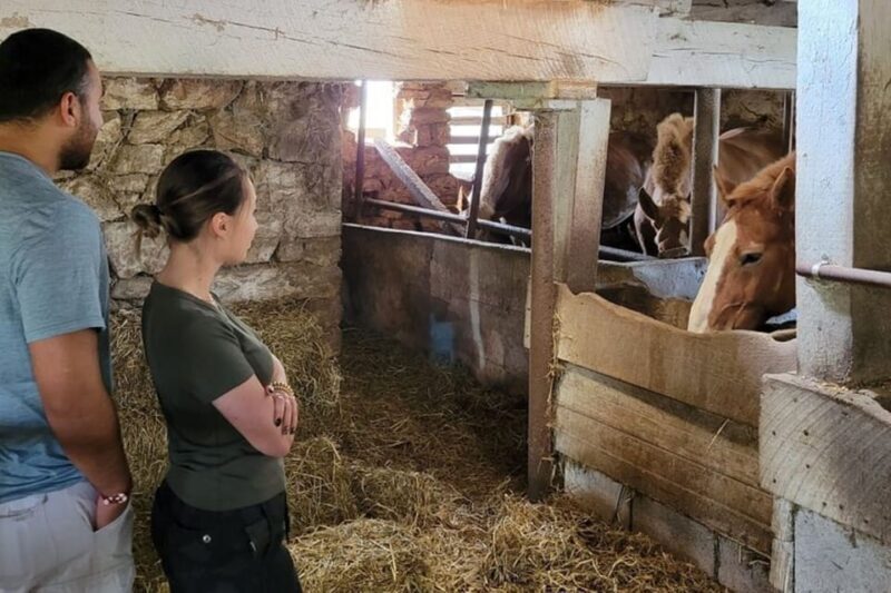Unique Amish Immersion Experience - Transportation and Accessibility