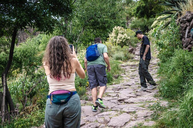 Unique cablecar experience, pulque tasting &unbeatable views - Key Points