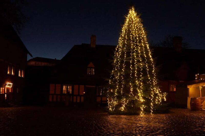 Unique Christmas Market in the Old City in Aarhus - Who Would Enjoy This Tour?