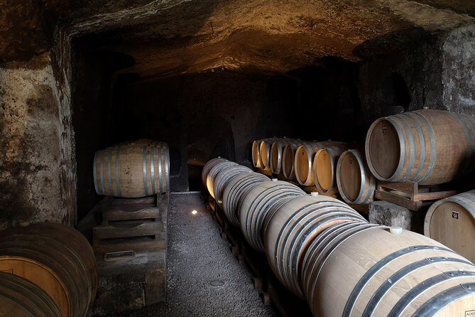 Unique EnoBike experience with tasting in 2 excellent wineries - Key Points