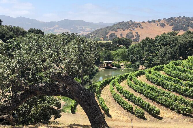 Unique Santa Barbara Wine Country Private Wine Tours and Tastings - Who Is This Tour Perfect For?